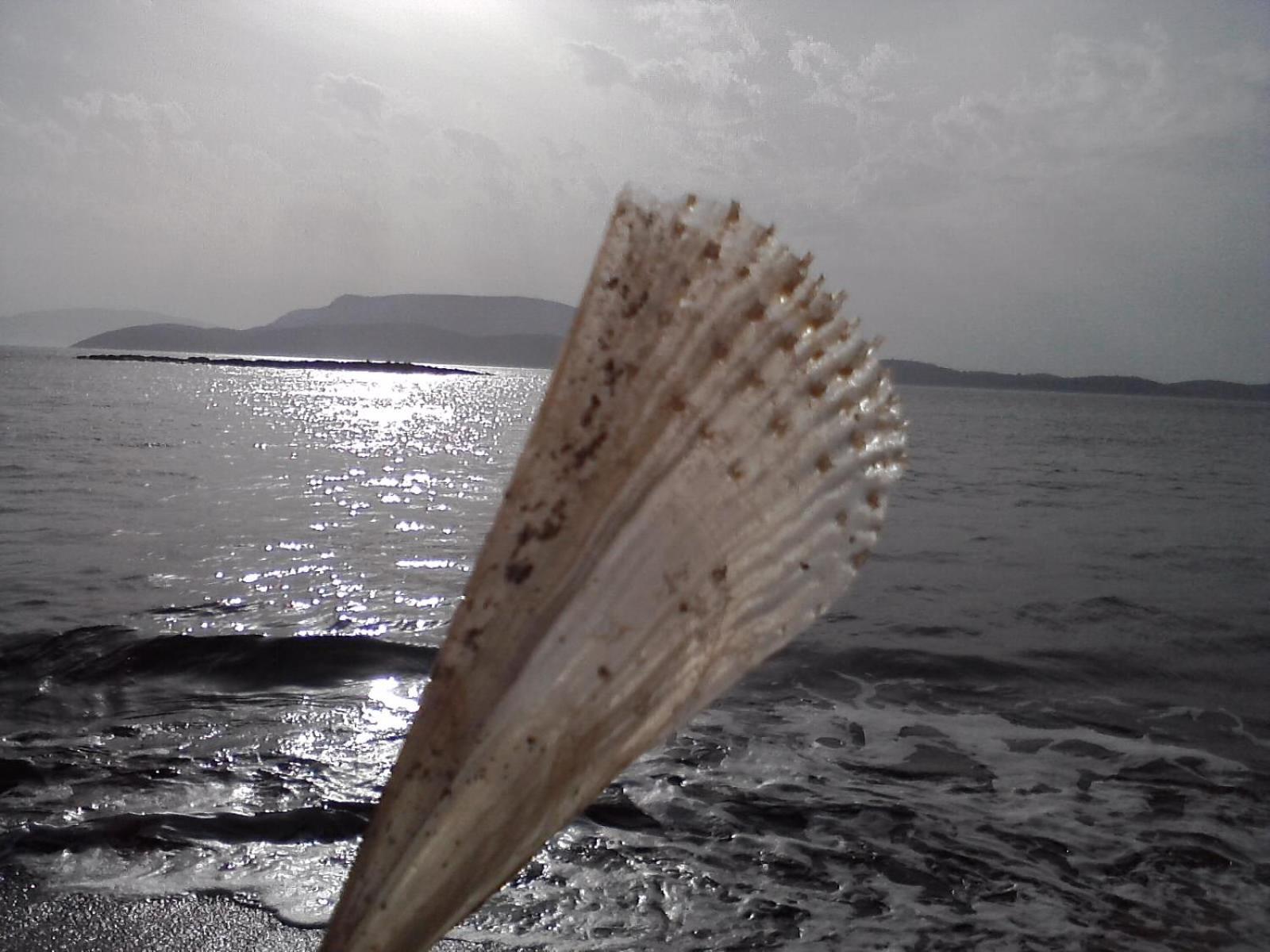Armonia By Grispos Villas Schoinoussa Bagian luar foto